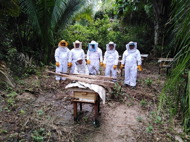 Instalación de módulos de apicultura en comunidades de Bajo Biabo de la Región San Martín-Perú