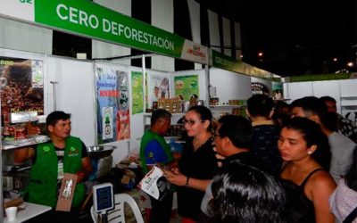 PRODUCTORES CON ENFOQUE “CERO DEFORESTACION” DE HUANUCO Y UCAYALY, PARTICIPARON EN LA EXPO AMAZONICA 2019, – LORETO